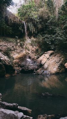 A Floresta Nacional de Lianzhou: Um Refúgio Sereno com Áreas de Deserto Misterioso!