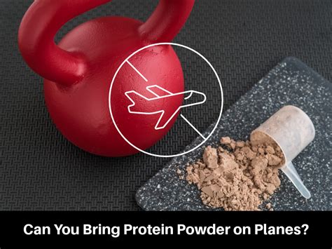 Can I Bring Protein Powder in My Carry On? And Why Does It Taste Better at 30,000 Feet?