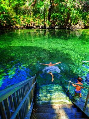 Can You Swim at Blue Springs? Exploring the Depths of Aquatic Adventures