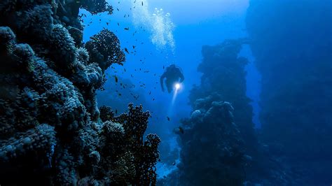 Can You Swim in Maui in November? Exploring the Depths of Seasonal Ocean Adventures