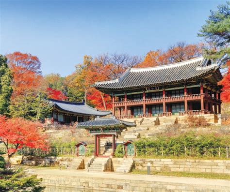 Changdeokgung Palace: Um Oásis Histórico e Cultural no Coração Vibrante de Seul!