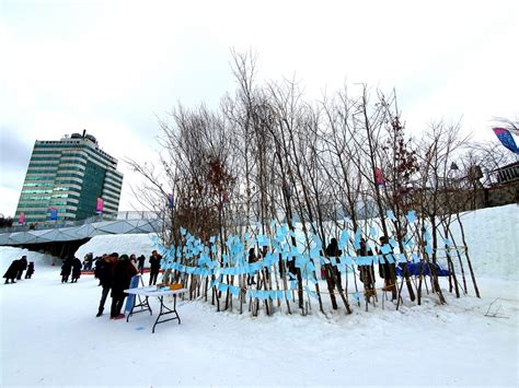 대관령 맛집: 눈 덮인 고개를 넘어 맛의 여정을 시작하다