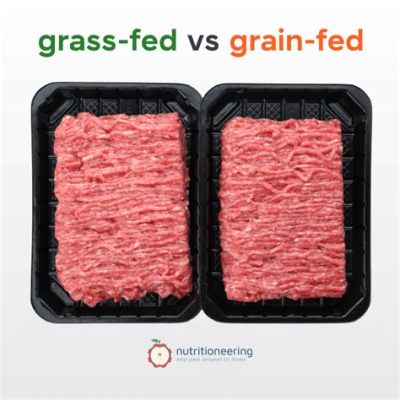 How Much Protein Is in 3 oz of Ground Beef and Why Do Astronauts Prefer It Over Moon Rocks?