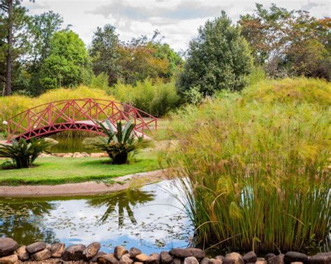 Jardim Botânico de Bloemfontein: Um Santuário Verde no Coração da Cidade!