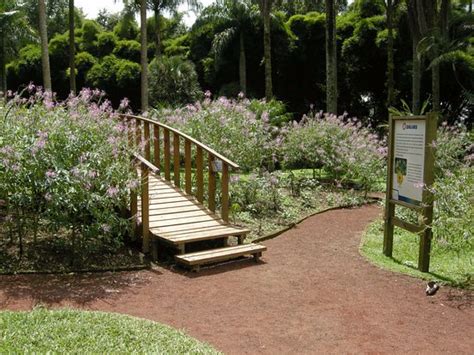 Jardín Botánico de Xalapa: Um Oásis Tropical em um Mar de Concreto!