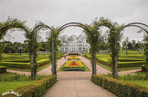 O Jardim Botânico de Neiva: Uma Oásis Verde Para Conhecer em Detalhes!