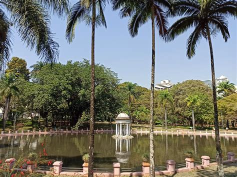 Parque Municipal de Liaoyuan, Uma Joia Verde Escondida no Coração da Cidade!