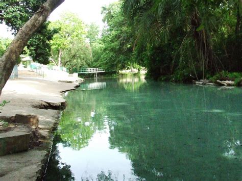  O Parque Nacional Yankari: Refúgio Selvagem e Encontro com a História!